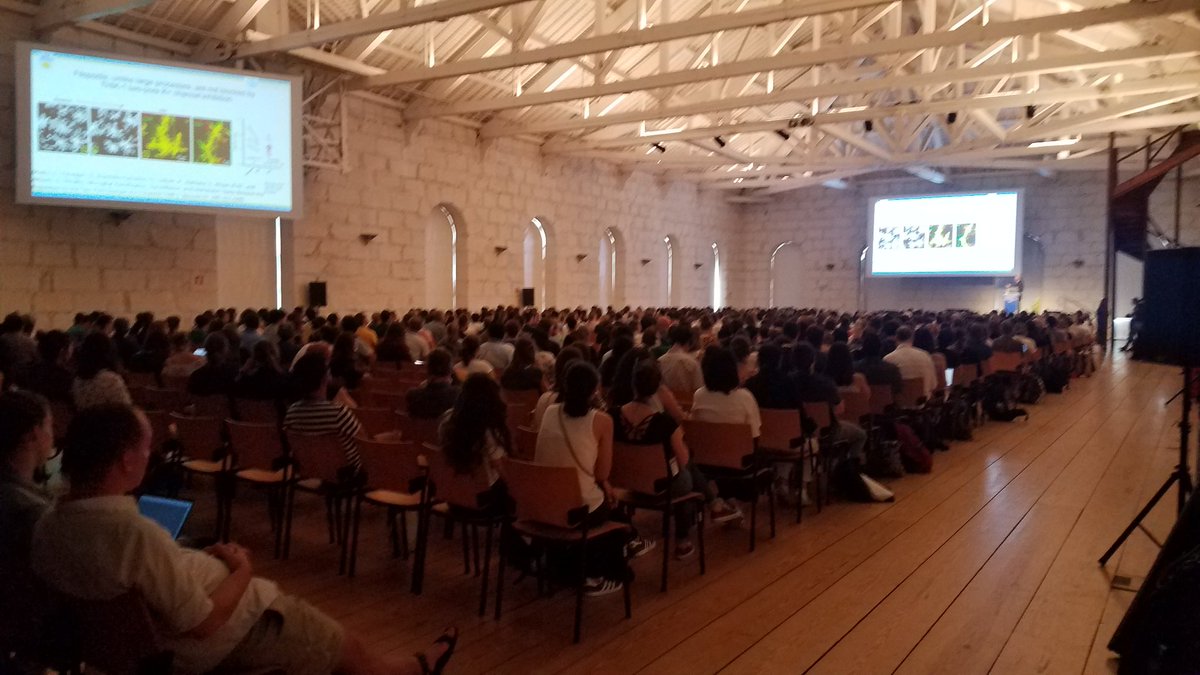 Julien Muffat tweet media