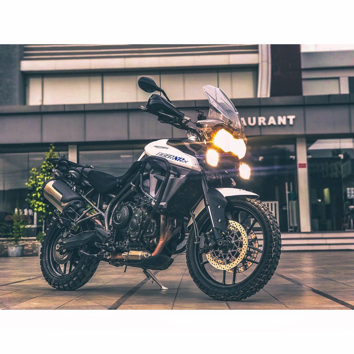 adityachatterG's tweet photo. Superheroes exist | #Starscream .
.
.
#TriumphMotorcycles #ForTheAdventure #Superhero #TriumphTiger #Motorcycle #ADV #ADVRider #Insta #Adixxon #IOwnATiger #Hero #Drama #Love #Life #ForTheRide #bikerlife #moto #Adventure #shotoniphone #Tigers #Wild #heidenautires #trip #india https://t.co/gJxhuGlItf