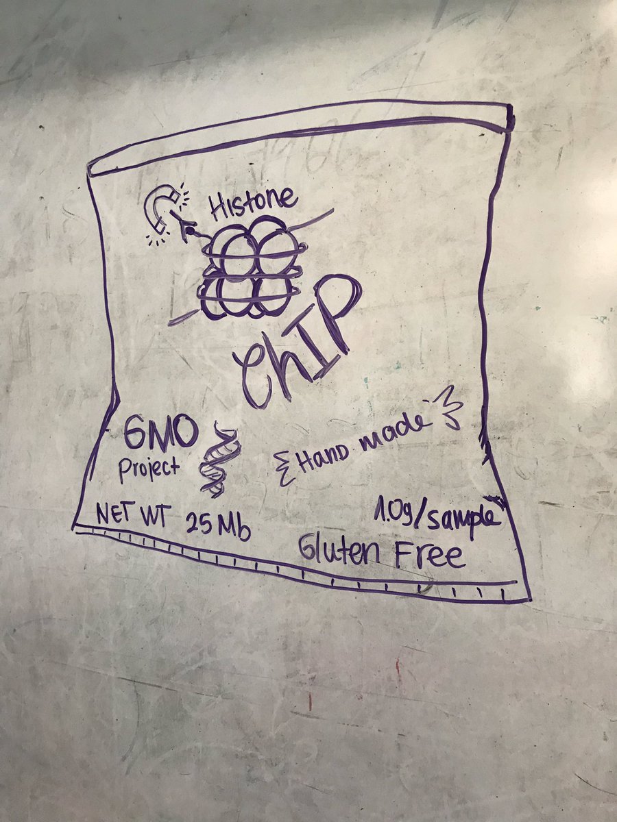atborowsky's tweet photo. Second day of ChIP lab with @jLawLab - appreciating artwork by @dianagdlc who is disappointed we can’t snack on this ChIP. @CSHLplantcourse #FTPS19 https://t.co/jMvYsSApcT