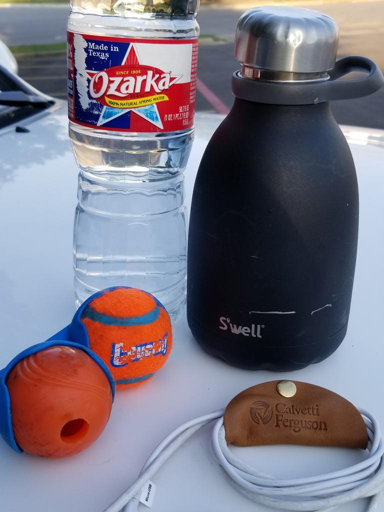Incitatus_Acq's tweet photo. @CFaccounting @acgdfwchapter @PantherCityPups The morning routine for @StephenAWest &amp; @LucyLootheGoldenDoo. Still some of the best swag! #2019texascapitalconnection https://t.co/qOmbJkCorP
