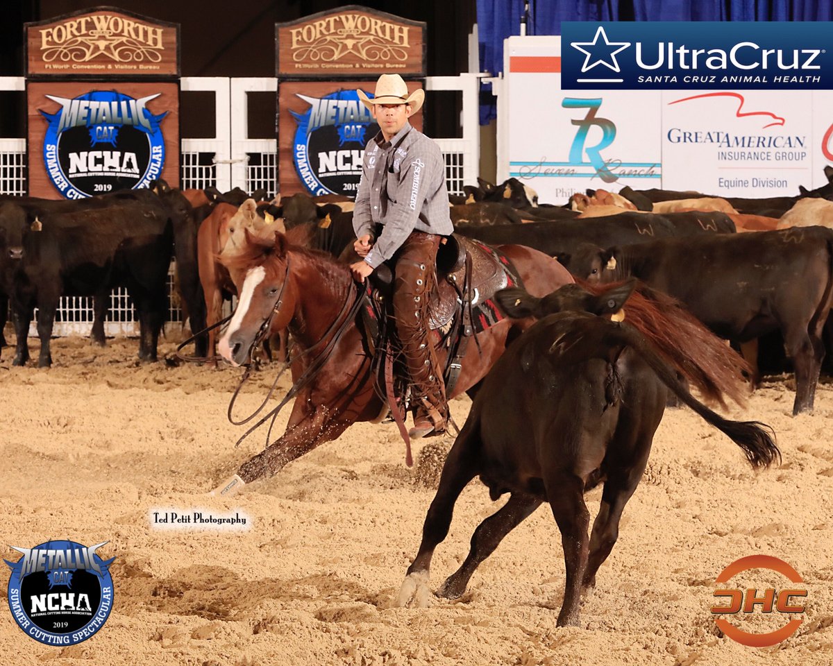PHorseCentral's tweet photo. Highlight shots from Day 1 Open 5/6YO 1st Go #NCHA Metallic Cat #SummerSpectacular19 provided by Video West Productions - John Mitchell riding Sundance Jesse for #Slate River Ranch &amp; Adan Banuelos riding Reystylin Smooth owned by #Ten27Ranch. Thanks to #UltraCruz for this update. https://t.co/kee2nf2pla