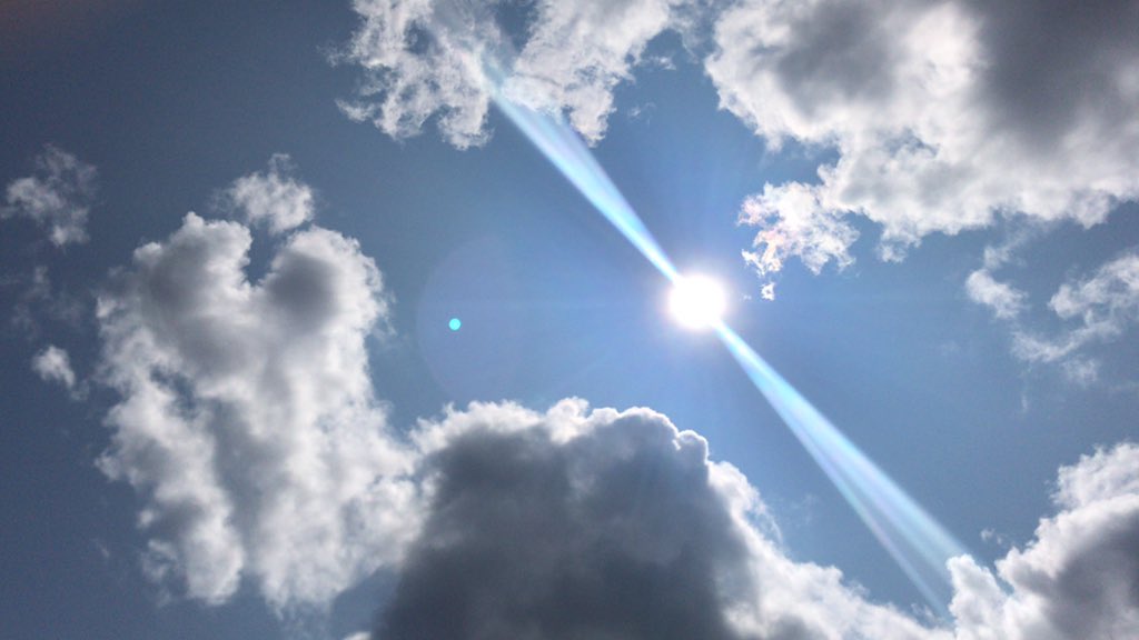 Affection_Festival tweet media