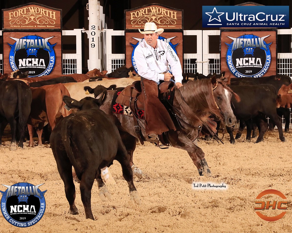 PHorseCentral's tweet photo. Highlight shots from Day 1 Open 5/6YO 1st Go #NCHA Metallic Cat #SummerSpectacular19 provided by Video West Productions - John Mitchell riding Sundance Jesse for #Slate River Ranch &amp; Adan Banuelos riding Reystylin Smooth owned by #Ten27Ranch. Thanks to #UltraCruz for this update. https://t.co/kee2nf2pla