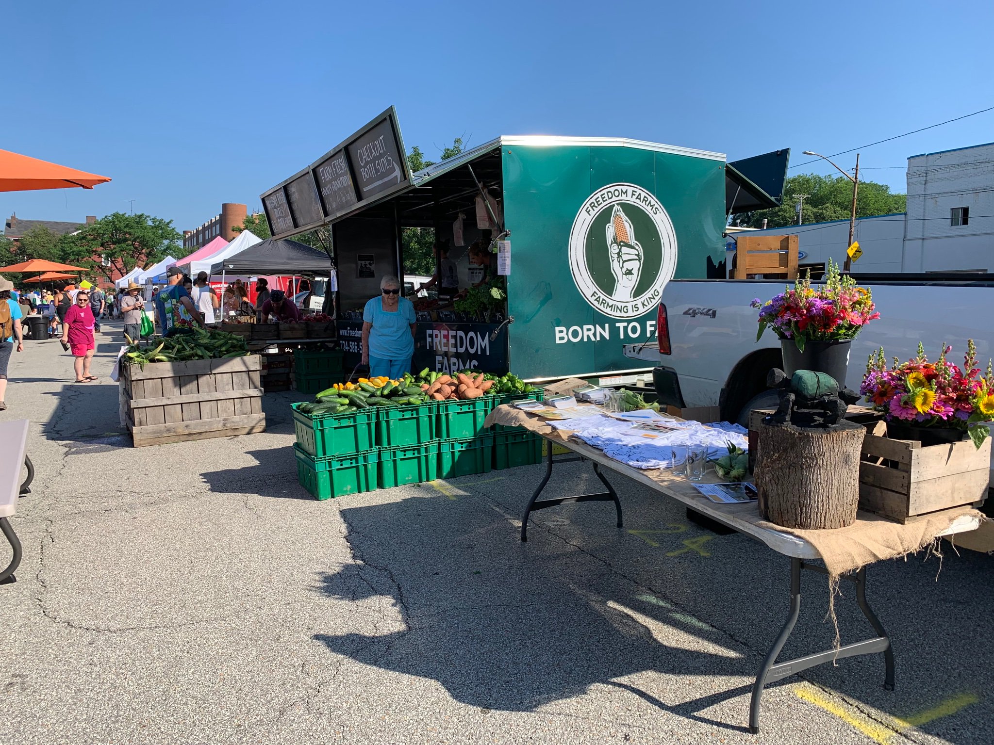 Freedom Farms (FarmKings) / Twitter