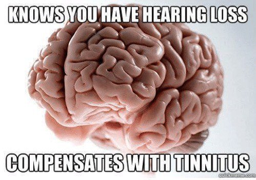 proearz's tweet photo. Did you know that Tinnitus is the brain trying to repair hearing loss…but failing 🤕😖

#hearinglos #funfacts#factoftheday#tinnitus #ACSCustomSW #ACSSW #ACSCustom#science #meme #hearingaid #hearinglossprevention#sound #weirdfacts #protectyourhearingnow #britishhearingsociety https://t.co/txMuXu2CyJ