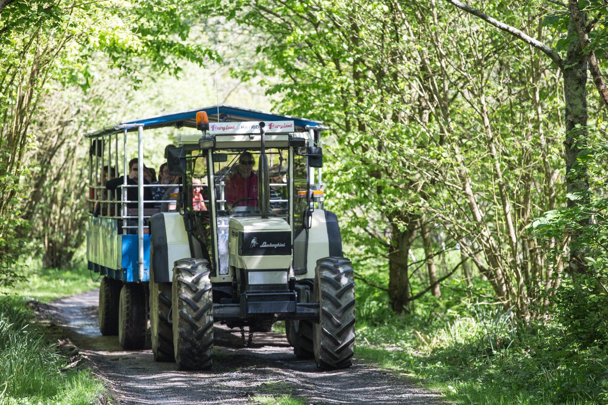 Whether you’re exploring our Nature Trail by foot or by Lamborghini (Hayride!), be sure to bring some snacks for the local fish and ducks! 🐟🦆