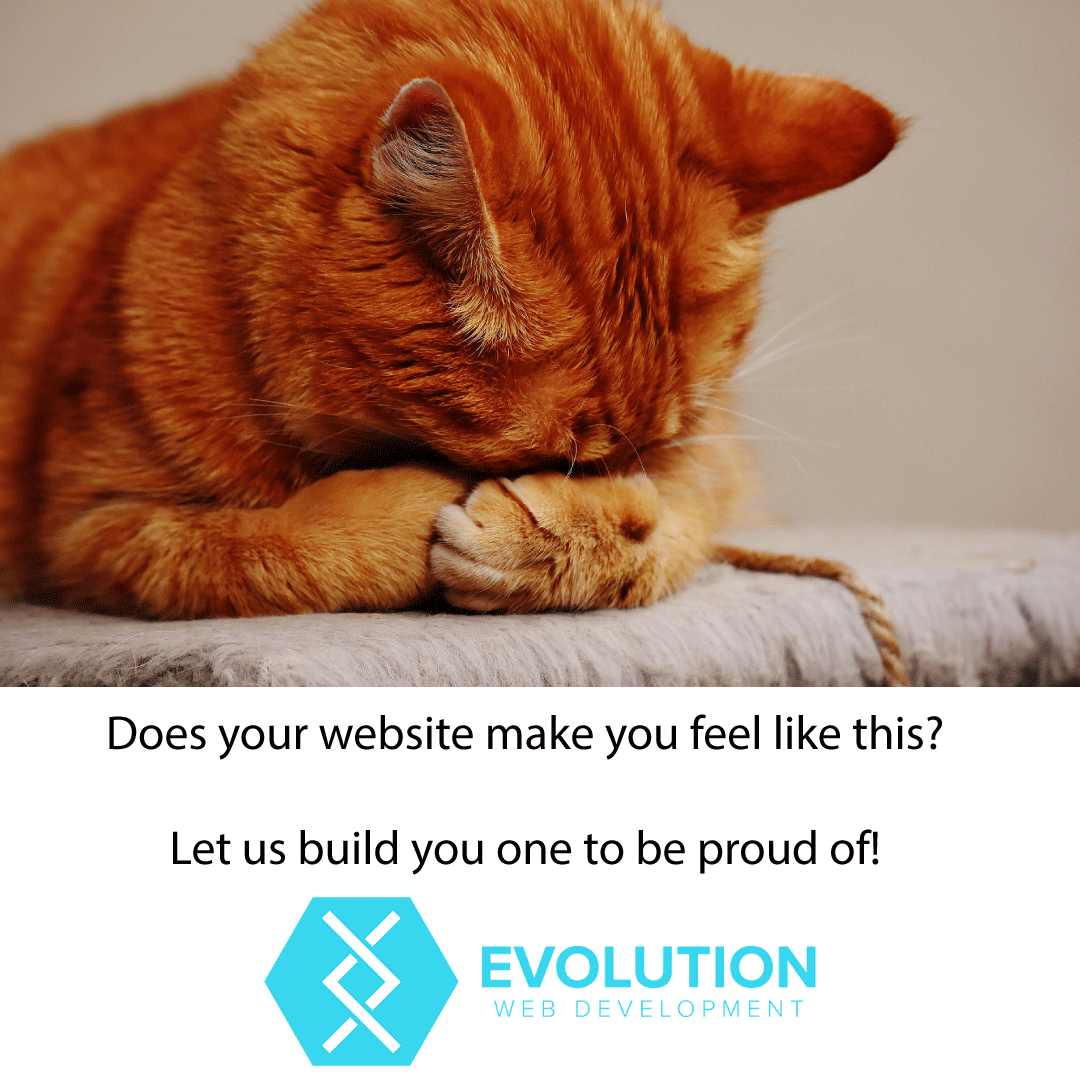 evowebdev's tweet photo. #webdevelopment #webdesign #wordpress #business #copywriting #evowebdev #isleofwight #security #blogging #content #ecommerce #html #css #customcoding #programming https://t.co/WuL0O7Kz5b