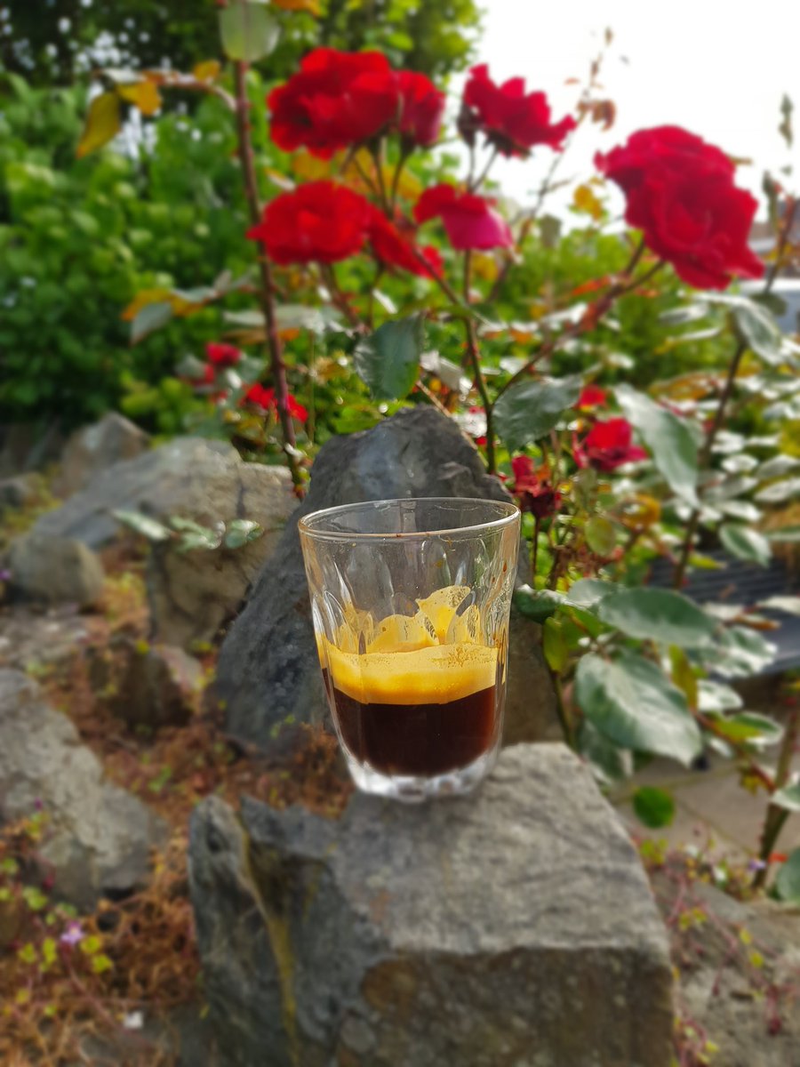 NoaBakehouse's tweet photo. Our resident coffee roaster is in the bakery shop until 2pm today, drop in if you want to find out more about our new roasts

#coffeeroaster #coffee #specialitycoffee #coffeetime #coffeeshop #coffeelover #coffeeholic #noabakehouseiom https://t.co/puviLCRJaW