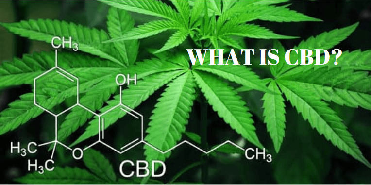What is CBD? Definition, Benefits, Legality and Where To Buy? Things To Know!😇💚
cbdfable.com/what-is-cbd/
#cbd #cbdoil #whatiscbd #cbdbenefits #iscbdlegal #buycbd #hemp #hempoil #cbdfable #cbdheals #cbdcures #cbdhelps #cbdforlife