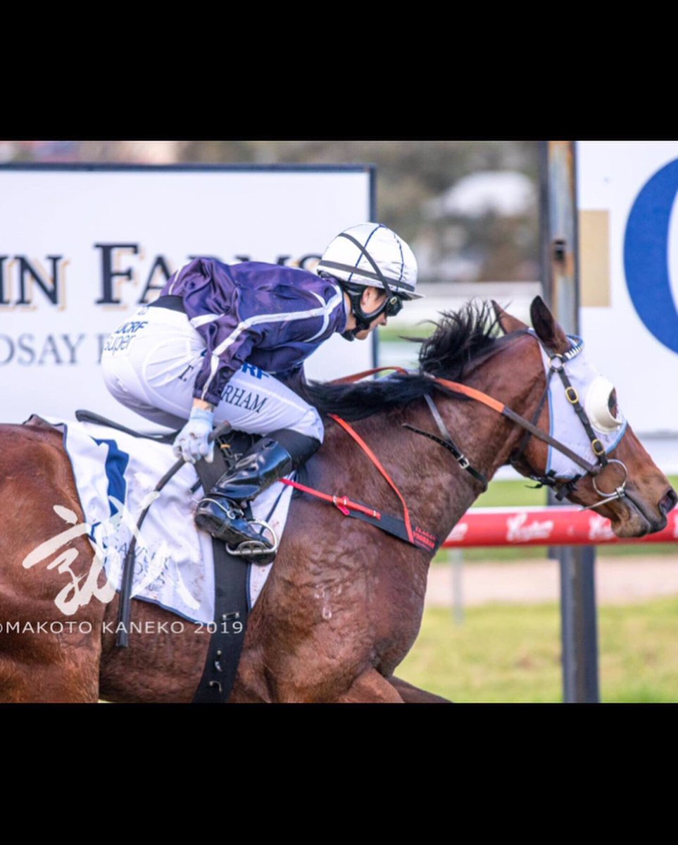 TeaganVoorham's tweet photo. A massive Thankyou to trainer Jon OโConnor and connections for the ride on this tough little boy today to get my first metro winner here in SA! ๐ธ rising sun photography #SAracing #magicphantom #rocket #metrowinner #gawler https://t.co/5vt5FyCqyE