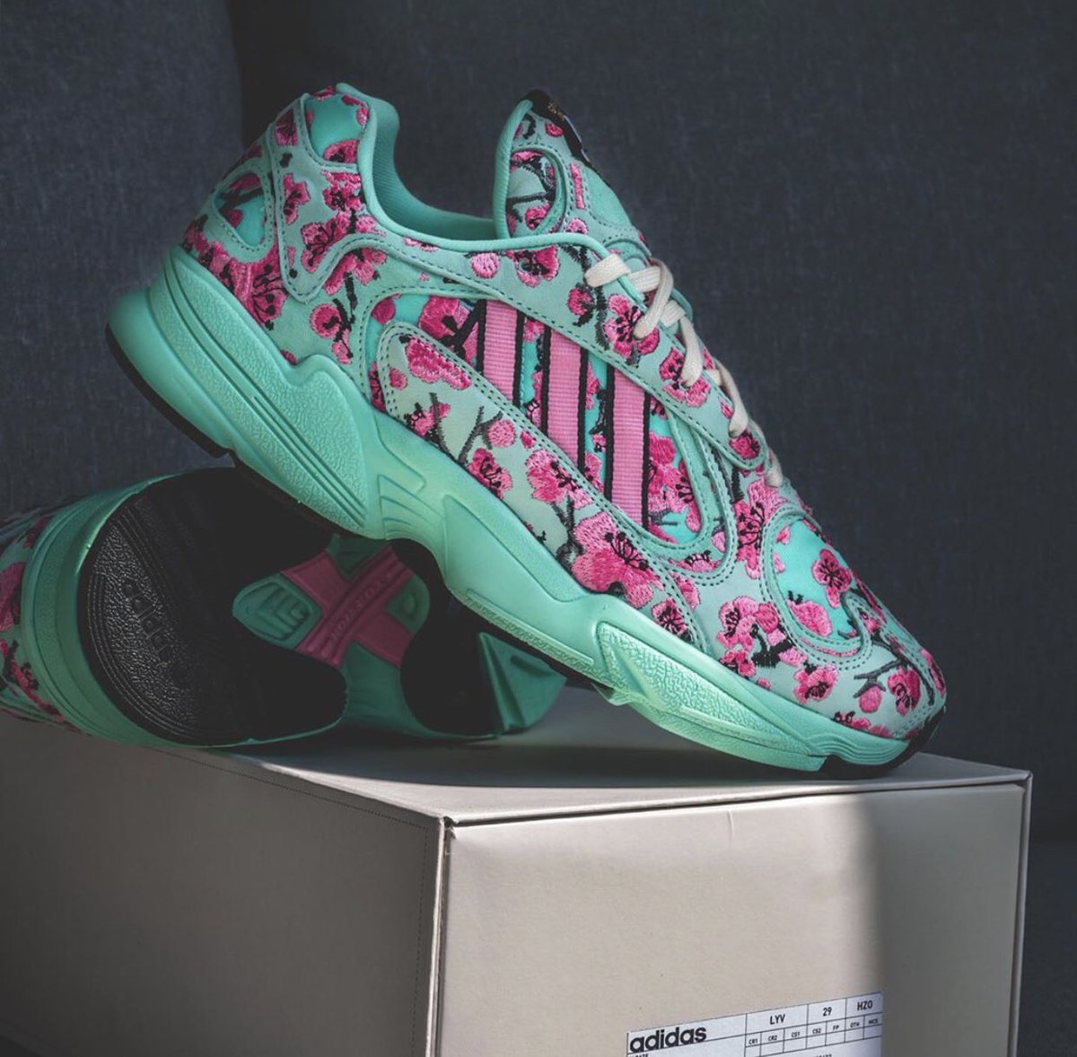 adidas x arizona yung 1