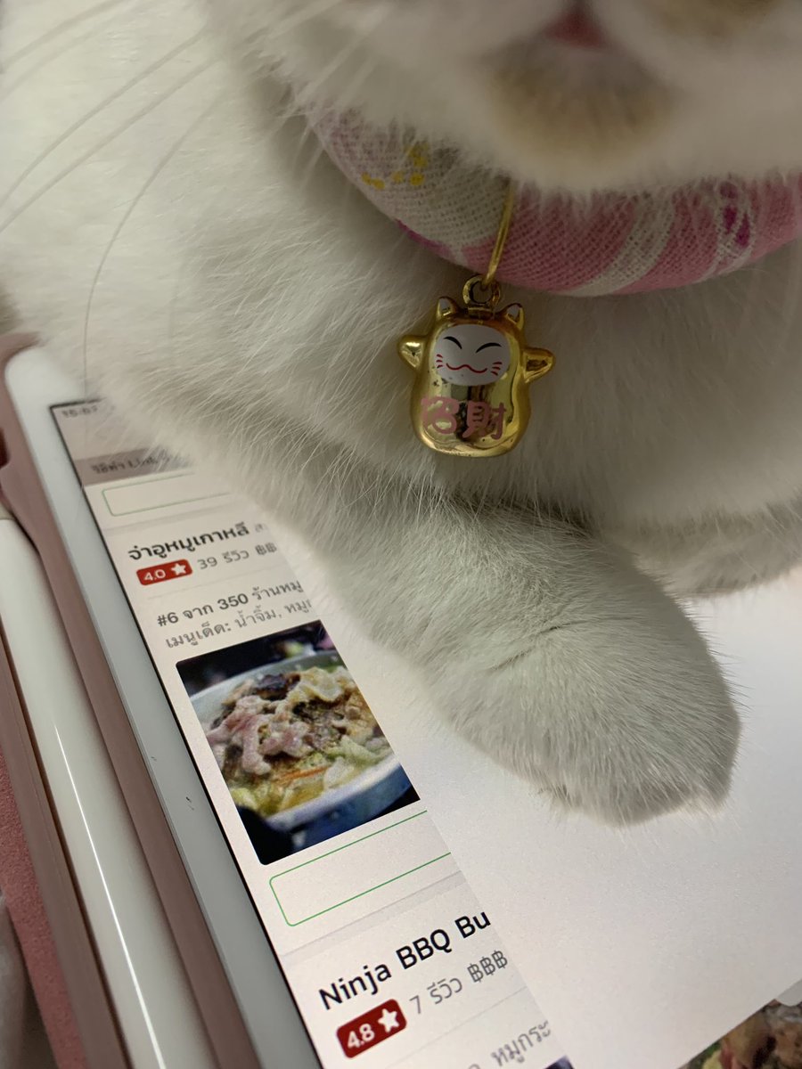 furbyfah's tweet photo. มานอนทับไอแพดแล้วกดเปลี่ยนเป็นหน้านิให้เฉย 555555555555555555555555 https://t.co/79bmDt0Grj