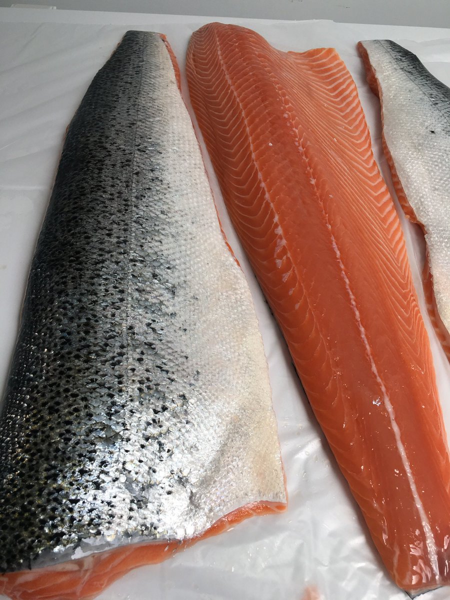 BlakewellSmoked's tweet photo. Hot smoked Salmon sides... #smokehouse #smokedsalmon https://t.co/af452dm4mp