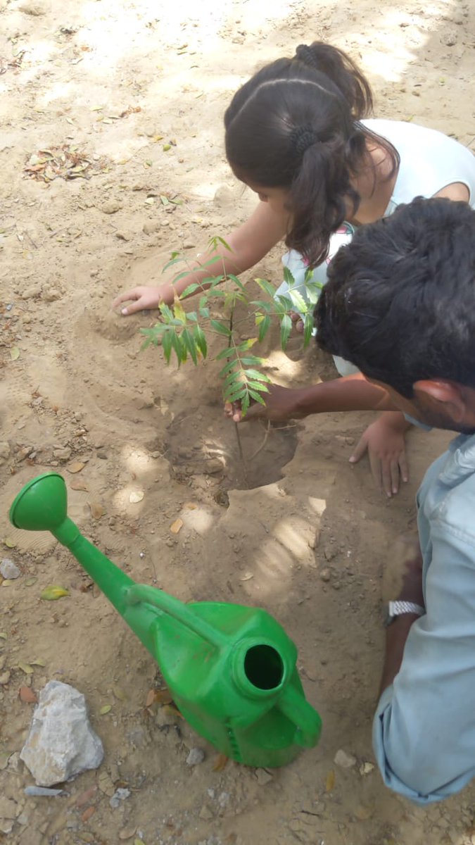 RashnaGazder's tweet photo. Summer School at Avenues is a treat for the kids. Saplings were planted and the children enjoyed their gardening experience. Lots more in July. School admissions are open for August. #avenuesedu #dilnazavari #mehr #summerschool
#funvacations https://t.co/qqEE1pMXCj