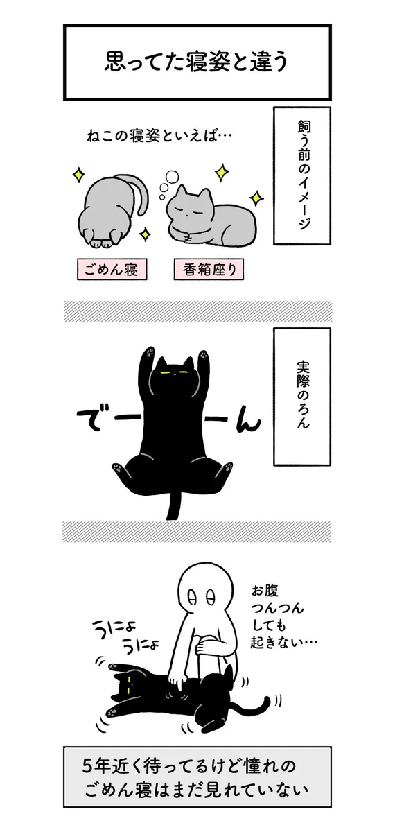 猫だって十人十色wwでもこの子はだいぶ面白いし可愛すぎww