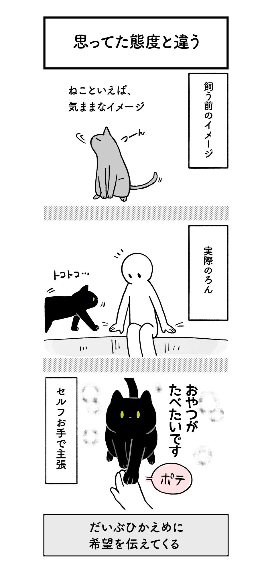 猫だって十人十色wwでもこの子はだいぶ面白いし可愛すぎww