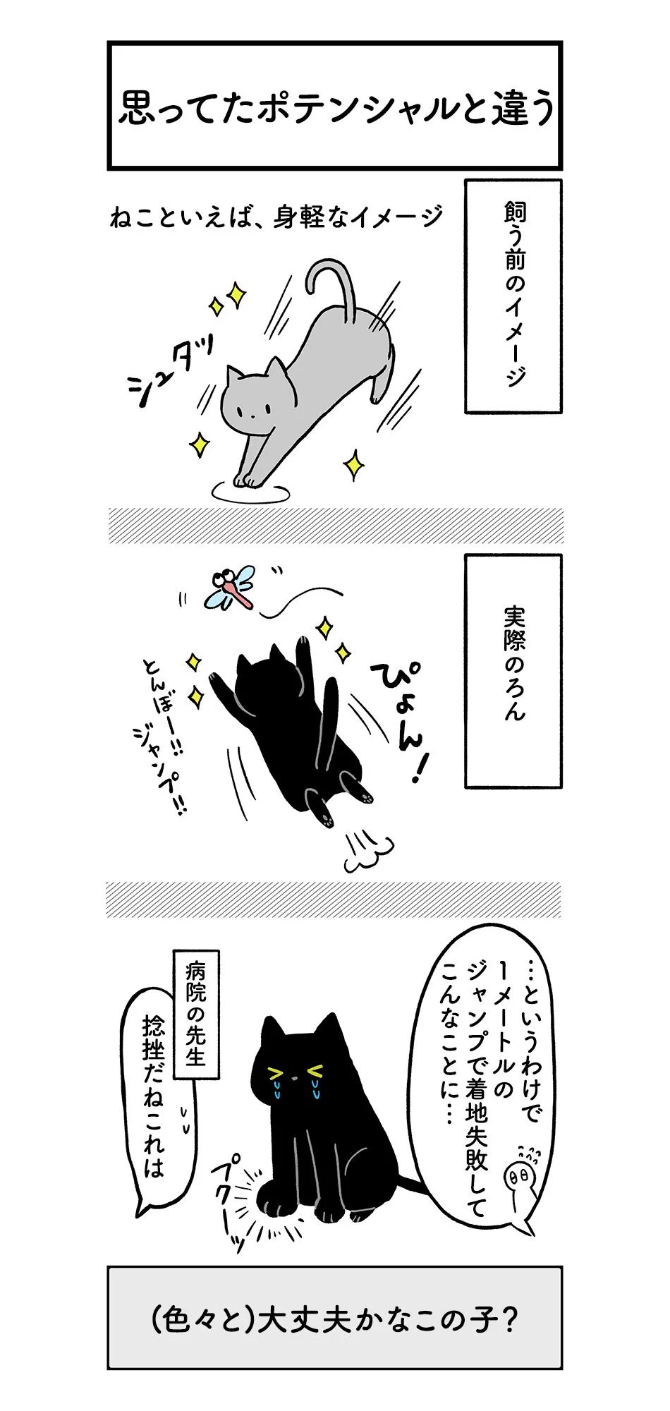 猫だって十人十色wwでもこの子はだいぶ面白いし可愛すぎww