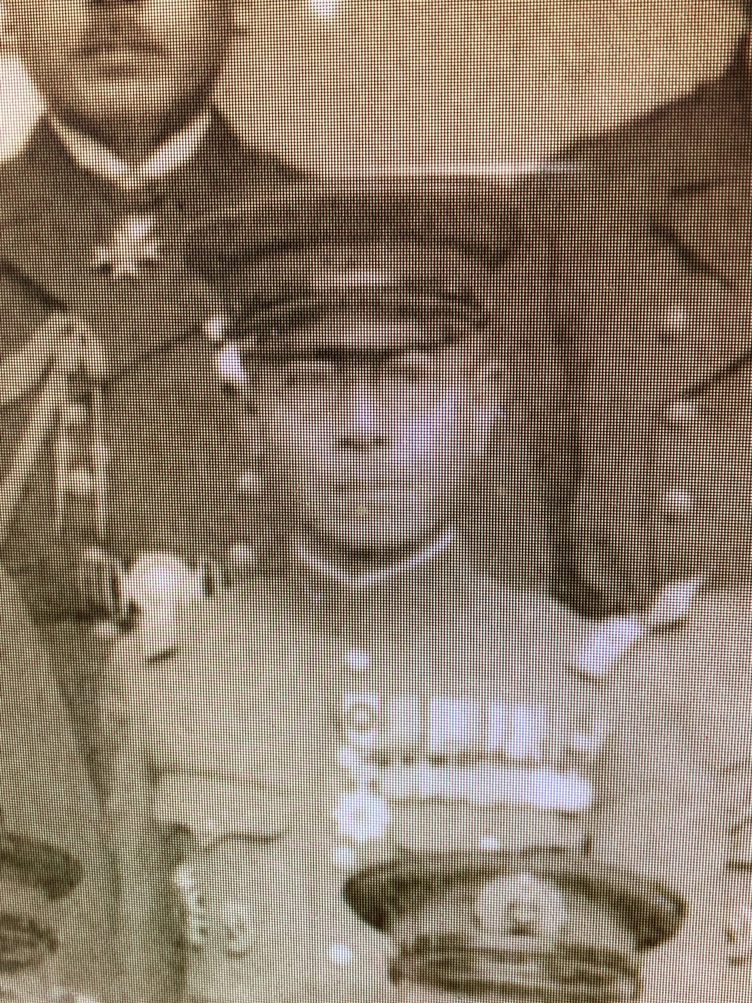 Object Pa Twitter 満州国の海軍側特務機関に関わった人々の集合写真に 永田鉄山 牟田口廉也 牛島満 後宮淳が写ってた Object Pa Twitter 満州国の海軍側特務機関に関わった人々の集合写真に 永田鉄山 牟田口廉也 牛島満 後宮淳が写ってた