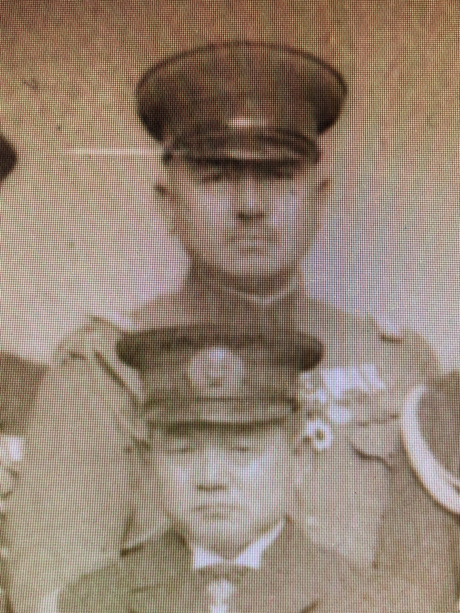 Object Pa Twitter 満州国の海軍側特務機関に関わった人々の集合写真に 永田鉄山 牟田口廉也 牛島満 後宮淳が写ってた Object Pa Twitter 満州国の海軍側特務機関に関わった人々の集合写真に 永田鉄山 牟田口廉也 牛島満 後宮淳が写ってた
