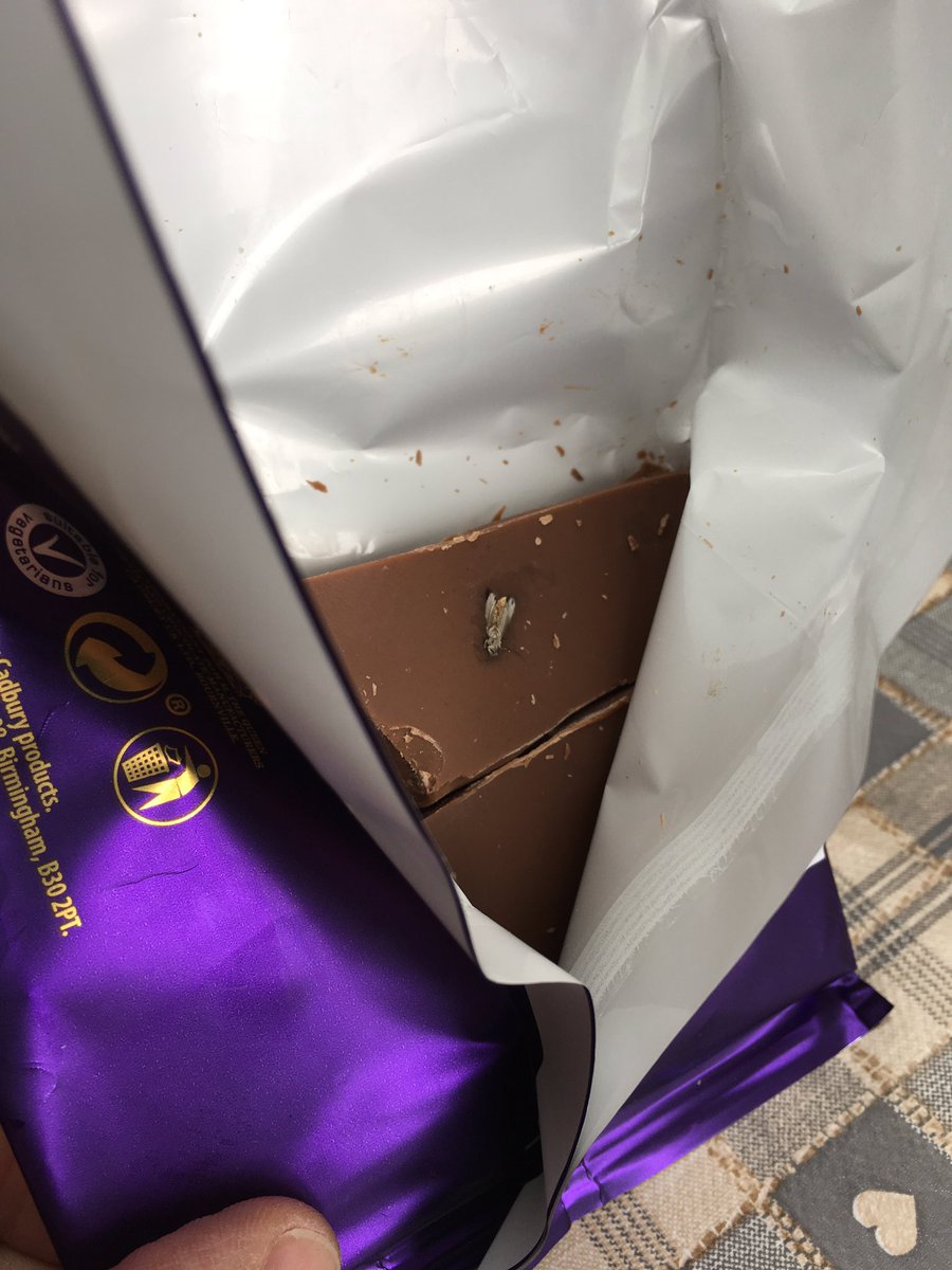 barriedillon's tweet photo. #fly #gross #chocolate 

Oh my goodness Look what is fossilized in our bar of Dairy Milk Chocolate 😳🤢. A fly 🐜!!! 
Not good nearly let our daughter have that piece too!! 🤒😷
#proteinchocolate #sendmereplacement #complaint  @CadburyUK @CadburyWorld https://t.co/u6v5JRqRzA
