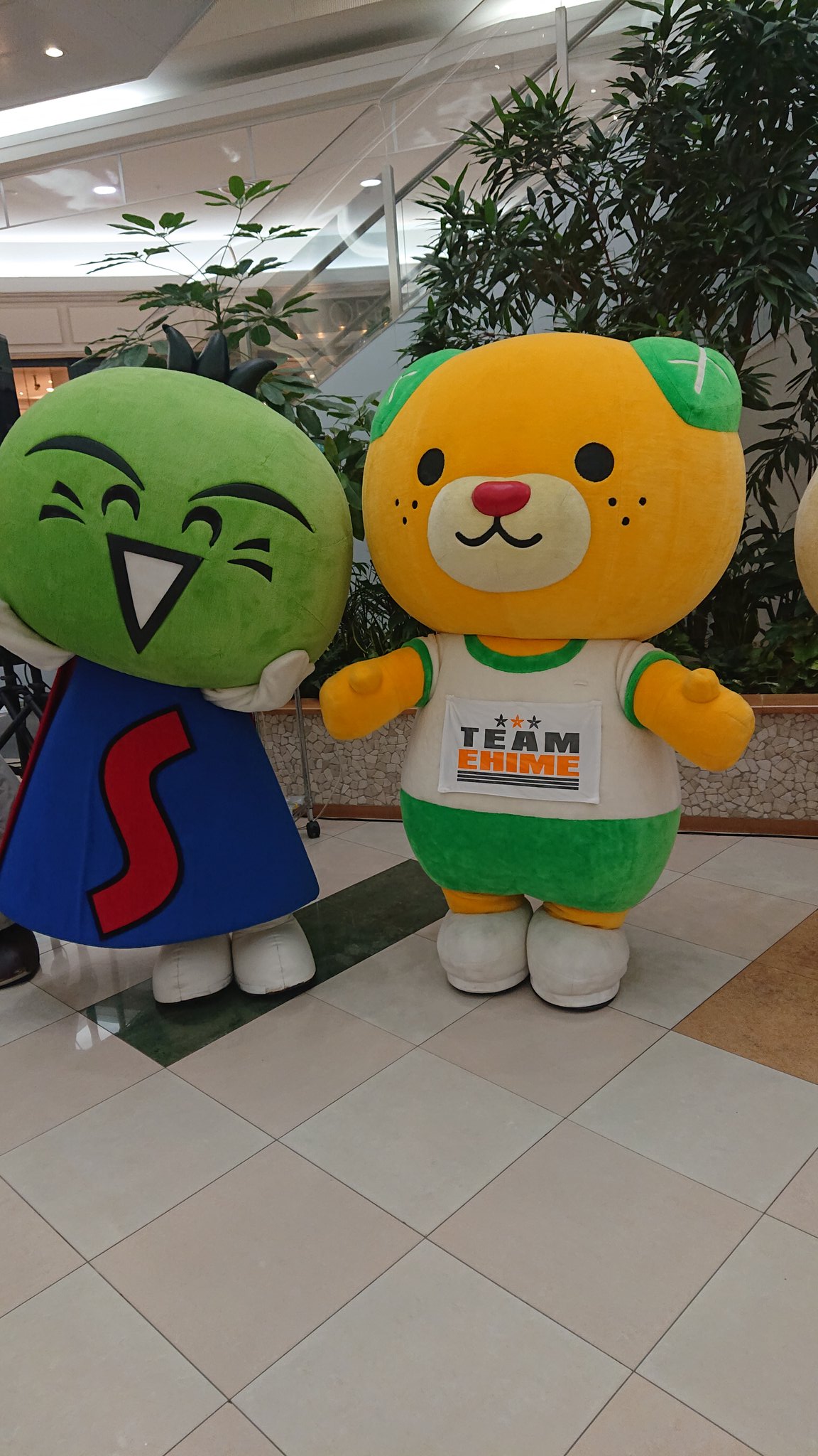 村田 奈麻 イオンモール高松で 四国ゆるキャラさんたちに会えました イオンモール高松 香川県 みきゃん ゆるキャラ T Co Ztkbiedywx Twitter