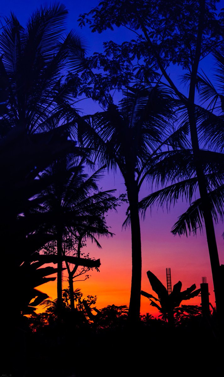 AkshayN30750010's tweet photo. Shared viaWallPixel - Download it from : https://t.co/AafyuYqyLq
#beautiful #naturelover #amoledwalls #wallpaper #WallPixel https://t.co/2Y7T55pAhf
