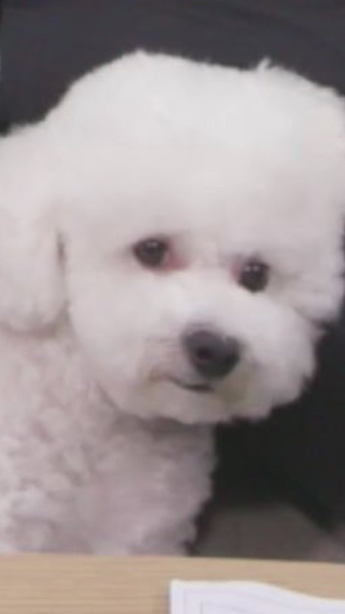 ฮลน𐬹 ⌁ ❀ ༉‧ tweet media