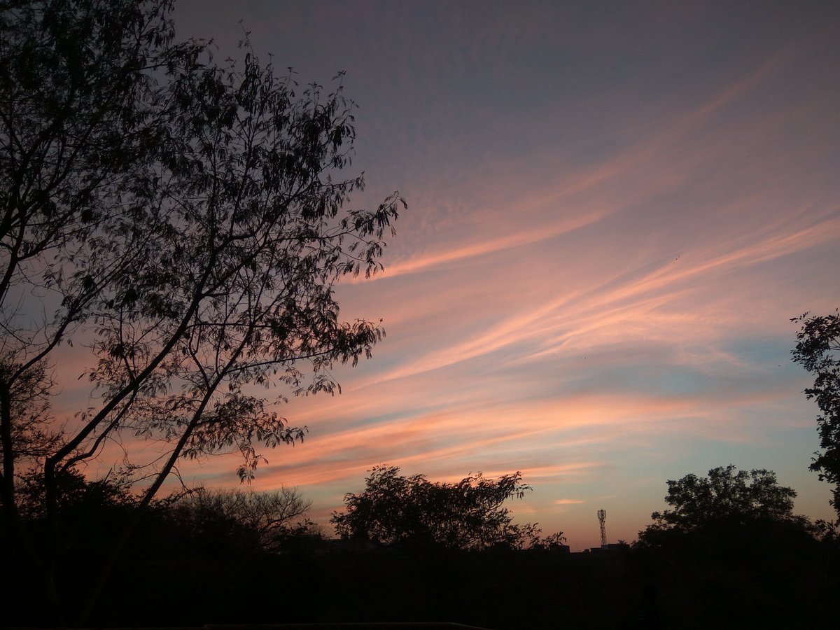medhawrites's tweet photo. I miss JNU sometimes. #nofilter #godsfilter #sunset #delhi #nature https://t.co/h6lRQPhRxL