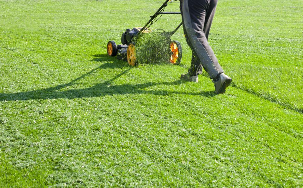 Murraylawncare's tweet photo. Importance of hiring lawn care company in Ottawa - MURRAY LANDSCAPING
#landscaping &amp; #excavation SPECIALISTS
https://t.co/BxwLLvs4sX
 #lawncare #company  #ottawa #Canada https://t.co/W8axCNWsM9