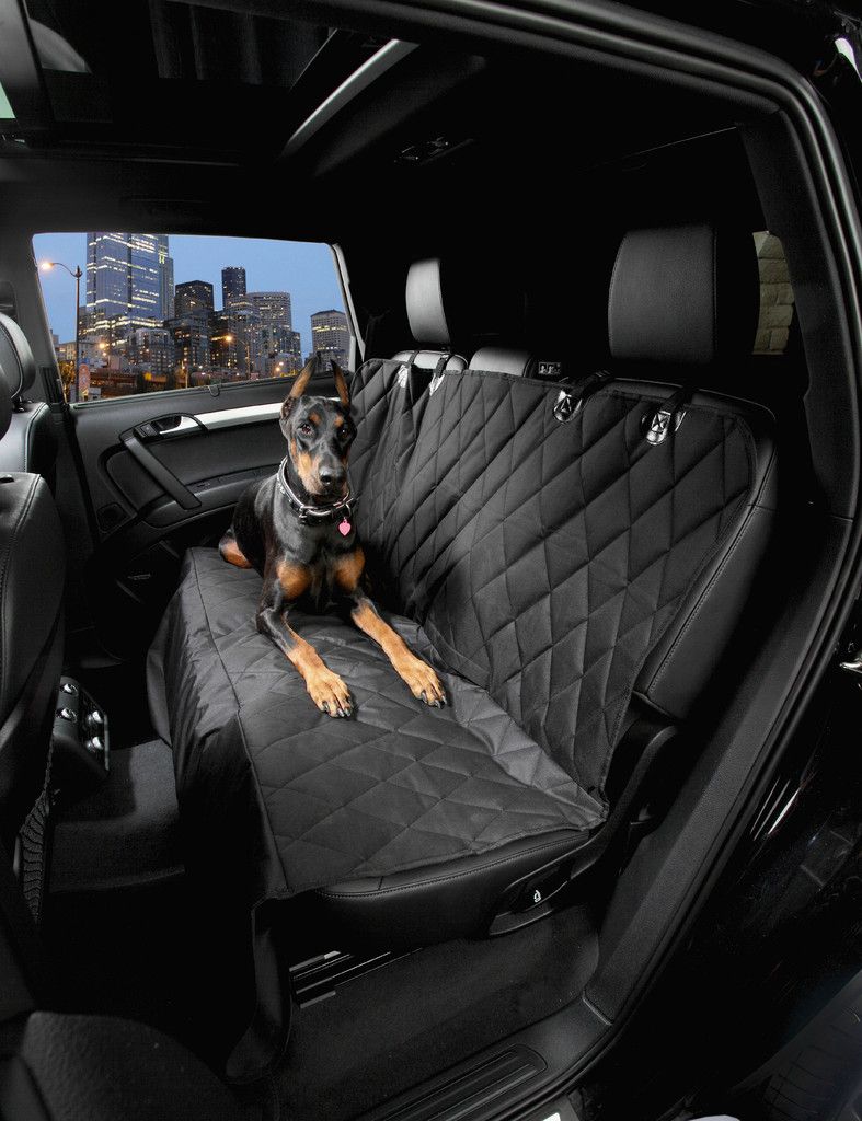 shopyouverse's tweet image. Forget About the Vacuum and Be Proactive. 20% Off Seat Covers Today! 
*Free Pet Leash Included*
YOUVERSE.SHOP/SeatCovers