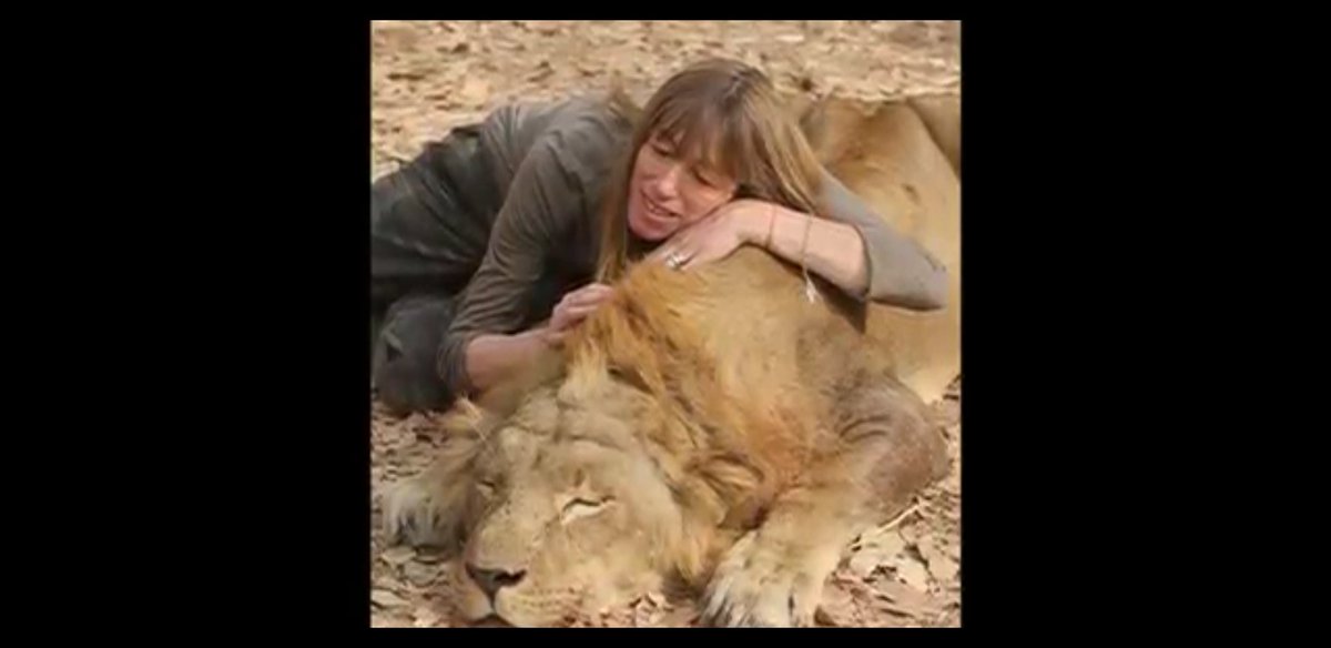 tigrenlion's tweet photo. Photos inédites du couple #SuperU à la chasse au lion sauvage au Cameroun en 2014.
Ce n'est pas de la #ChasseEnBoite !!!
#BanTrophyHunting #TraduisonsLes #UnClicPourUnSafari #SnuffTourism https://t.co/QZW6uiBmpq