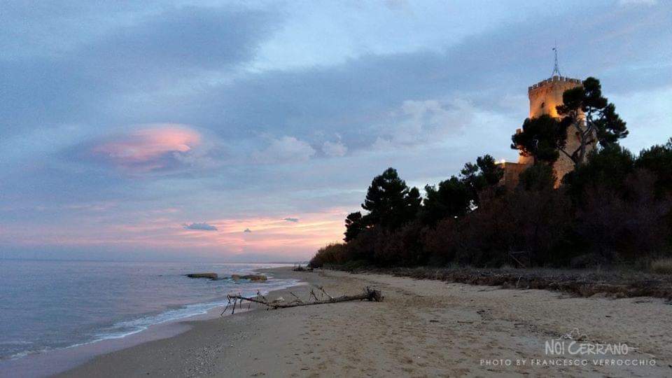 Buon sabato amici! La Torre di Cerrano vi aspetta. Ammiriamola in questa bellissima immagine al crepuscolo.
Foto di Francesco Verrocchio
#Abruzzo #turismo #wildabruzzo