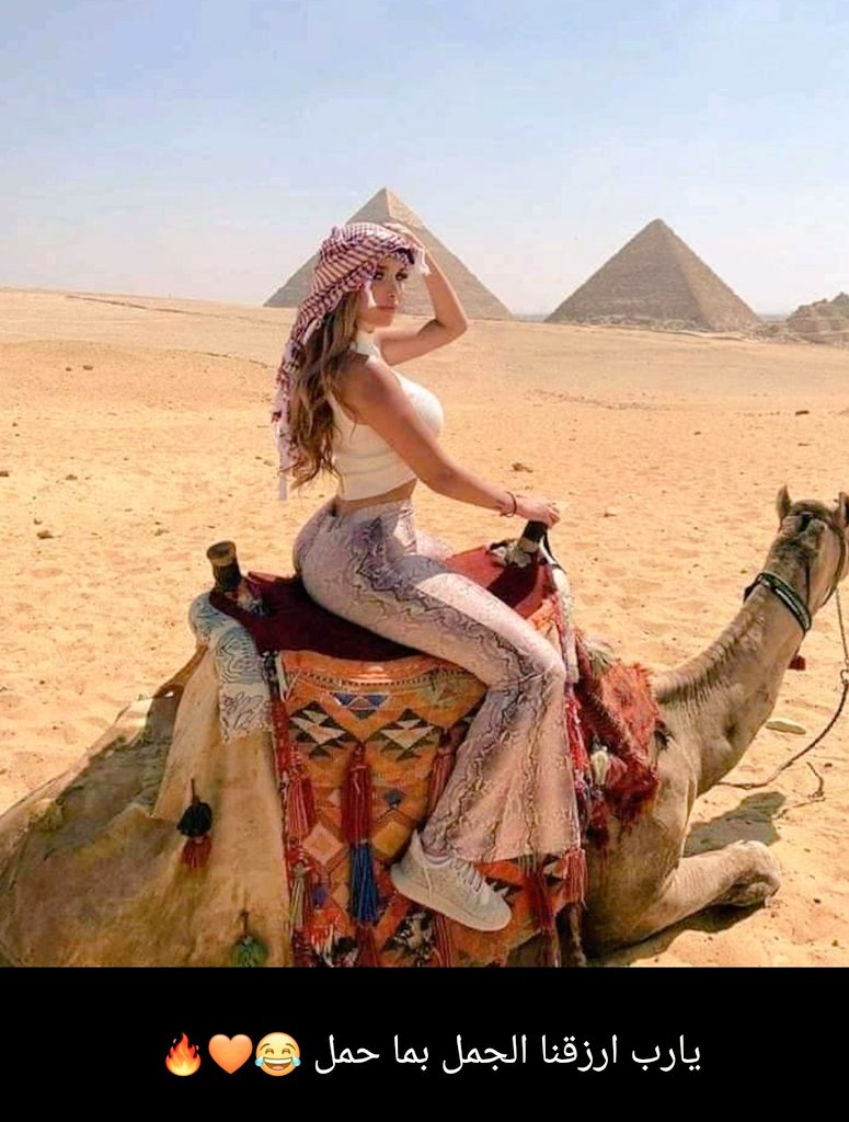 أحلى مثل ده ولا أيه يا رب ارزقنا الجمل بما حمل