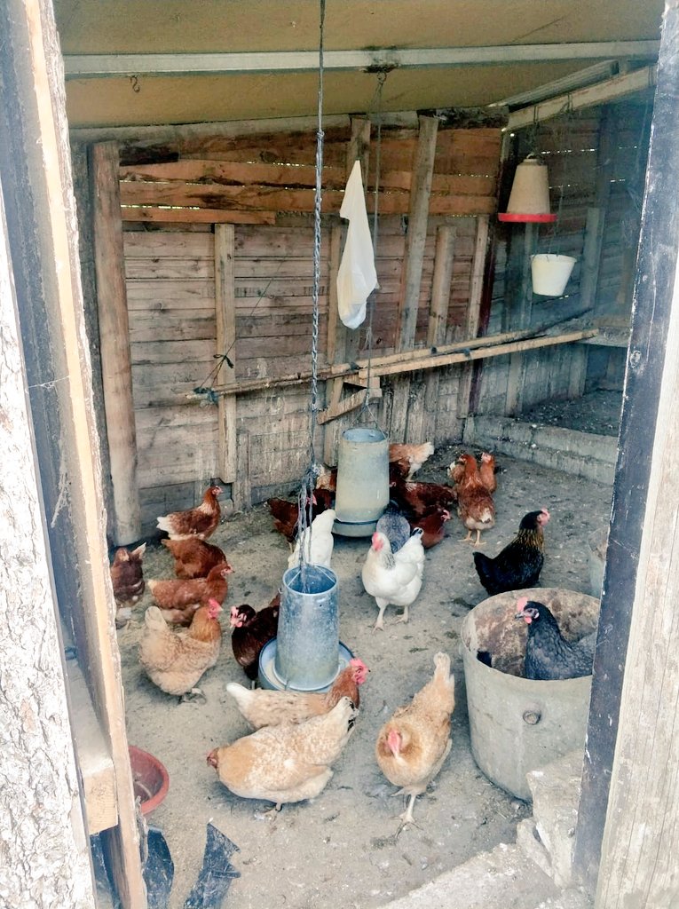 Menudo tesoro hemos encontrado en #Zumaia <a href="/SantaKlararural/">SantaKlara CasaRural</a> 
#KostaGastronomika