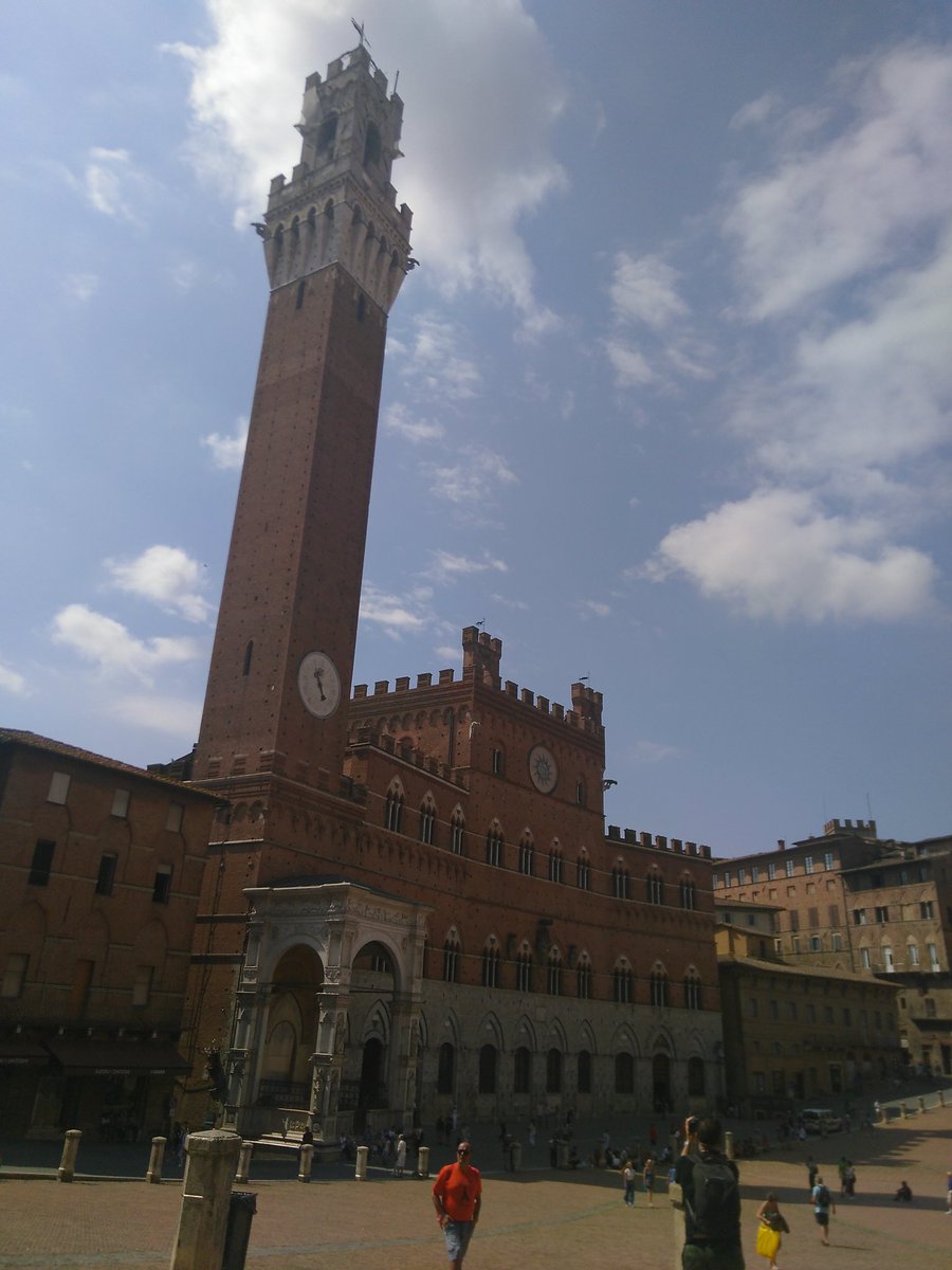 Ilonka Marselis tweet media