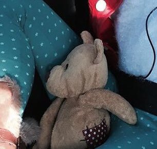 YetiSir's tweet photo. Lost in #lisbon. My daughter’s very precious teddy bear. We left #PalaciodasEspeciarias on Monday 8th July, travelled out to #LisbonAirport to collect a car from #Interrent. It was in one of these places that this #NewtonsLaw teddy was lost. Please share and help us find him! https://t.co/6JGXOXTRWj