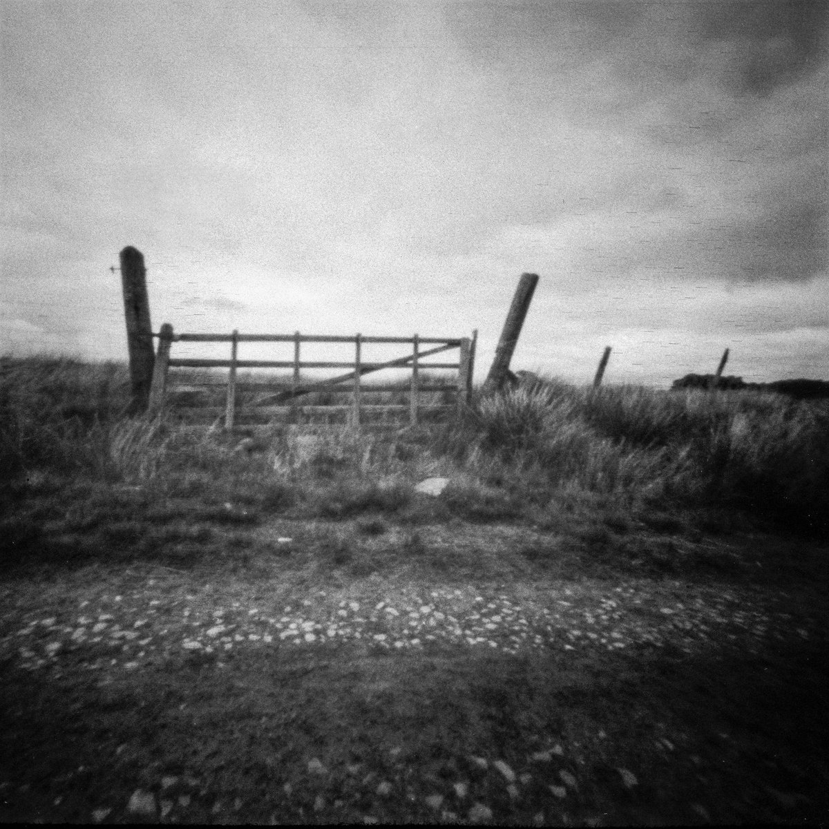 Rich_Roylance's tweet photo. Moorland Gate
#believeinfilm #Yorkshire #landscapephotography #6x6 #blackandwhitephotography #Monochrome #foma #retropan320s
#pinholephotography #caffenol #homebrewdeveloper https://t.co/Q1mTa62lKT