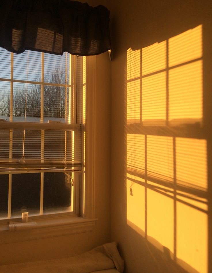 ปิดบอท tweet media