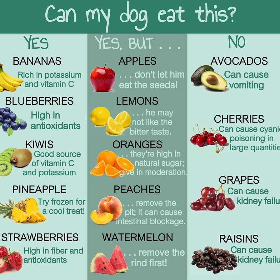 Harrison Food (OTRB) 🌈 tweet media