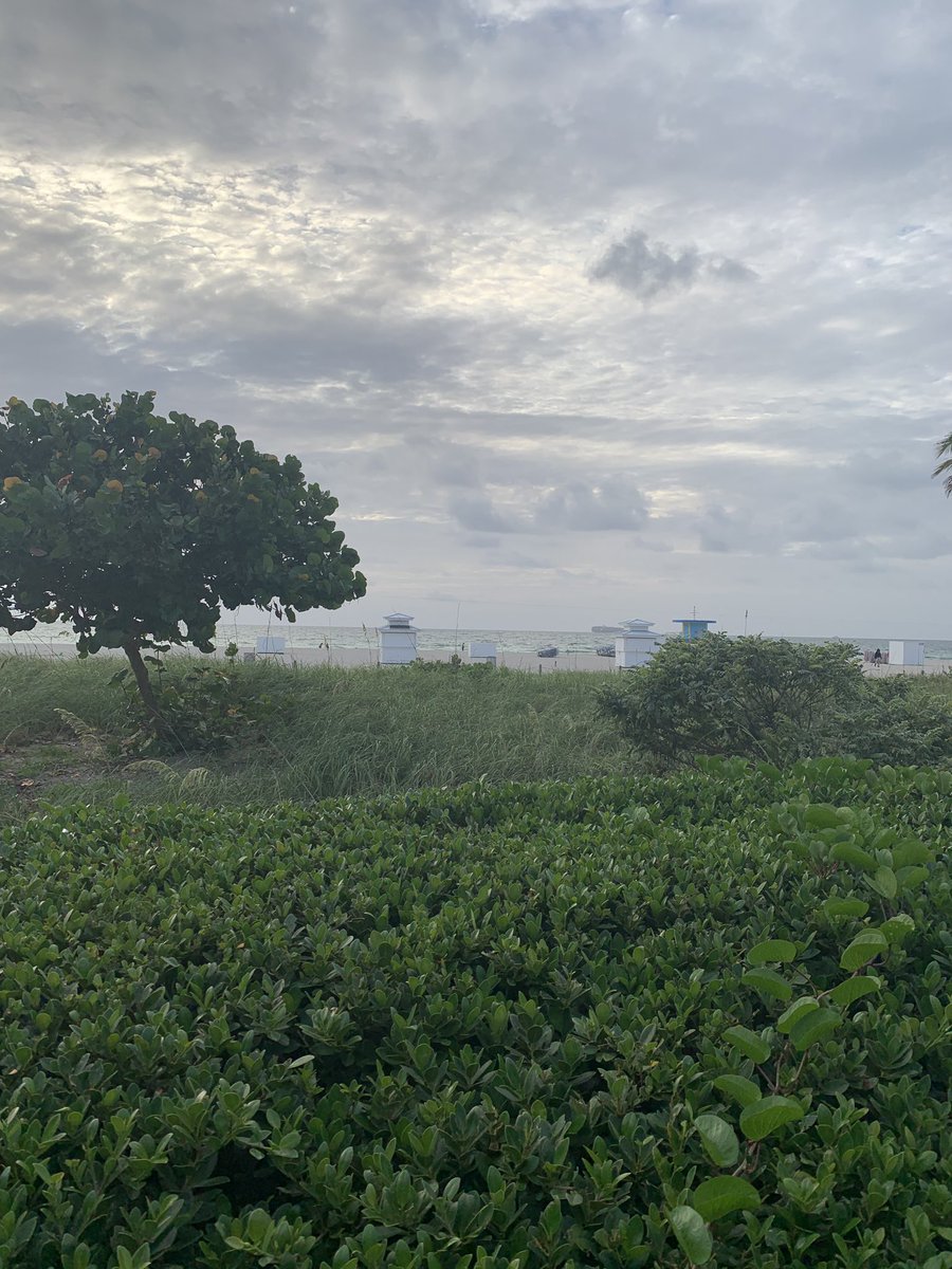 hansvestberg's tweet photo. Happy Saturday from a humid and lovely Miami Beach. Few runners out this morning. #RunwithHans @VZUpToSpeed https://t.co/DaefRS4liM