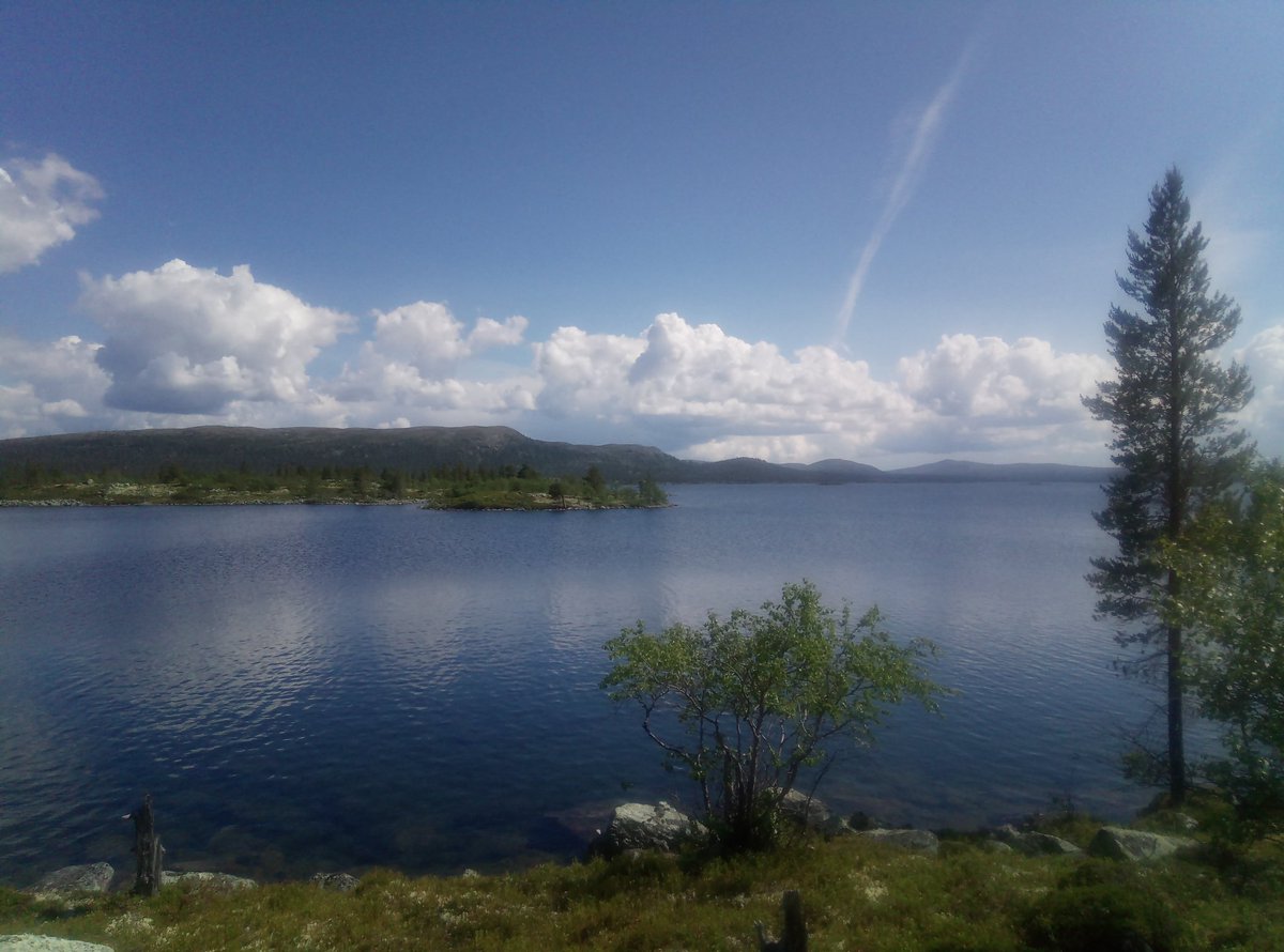 PaaTur's tweet image. @PaaTur #rogen #harr #tarp