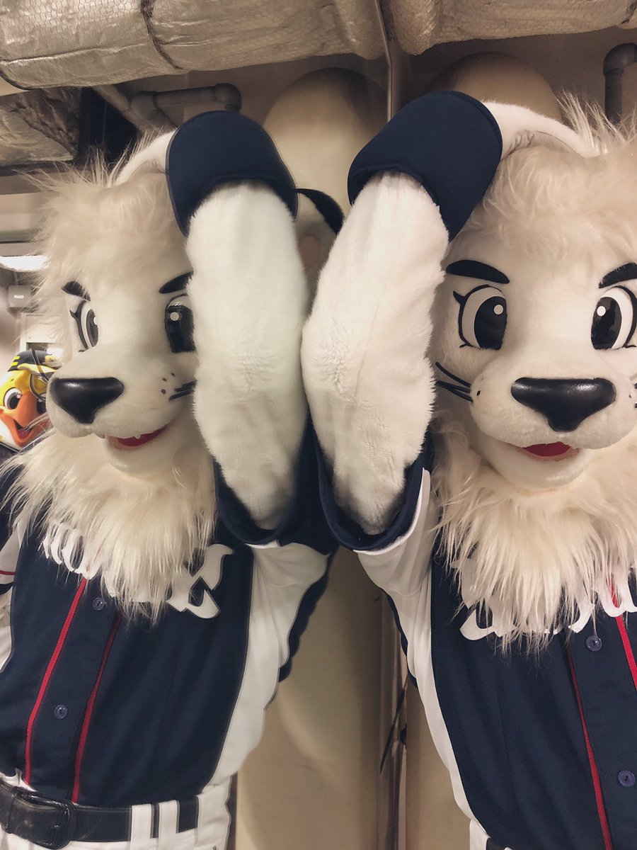 ライナ きょうは こうしえんでオールスター レオは たのしんでいるみたいだよ あめ なのが ざんねんだねー かがみに うつった レオ きょうの レオも きまってる どう みんな Seibulions 埼玉西武ライオンズ マイナビオールスターゲーム ライナ きょうは こうしえんでオールスター レオは たのしんでいるみたいだよ あめ なのが ざんねんだねー かがみに うつった レオ きょうの レオも きまってる どう みんな Seibulions 埼玉西武ライオンズ マイナビオールスターゲーム