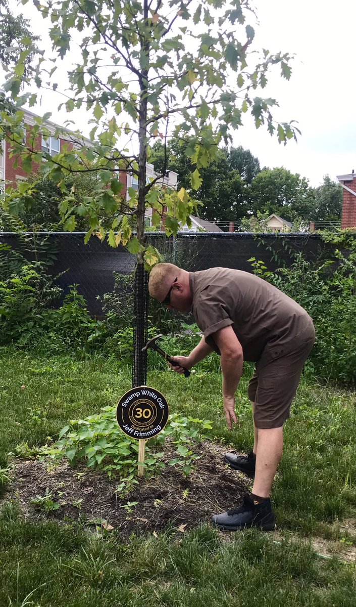 Greg Schneider tweet media