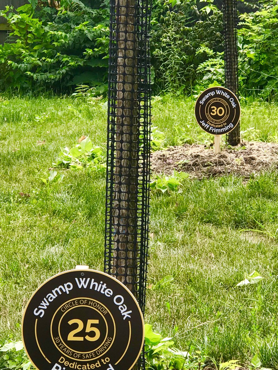 Greg Schneider tweet media