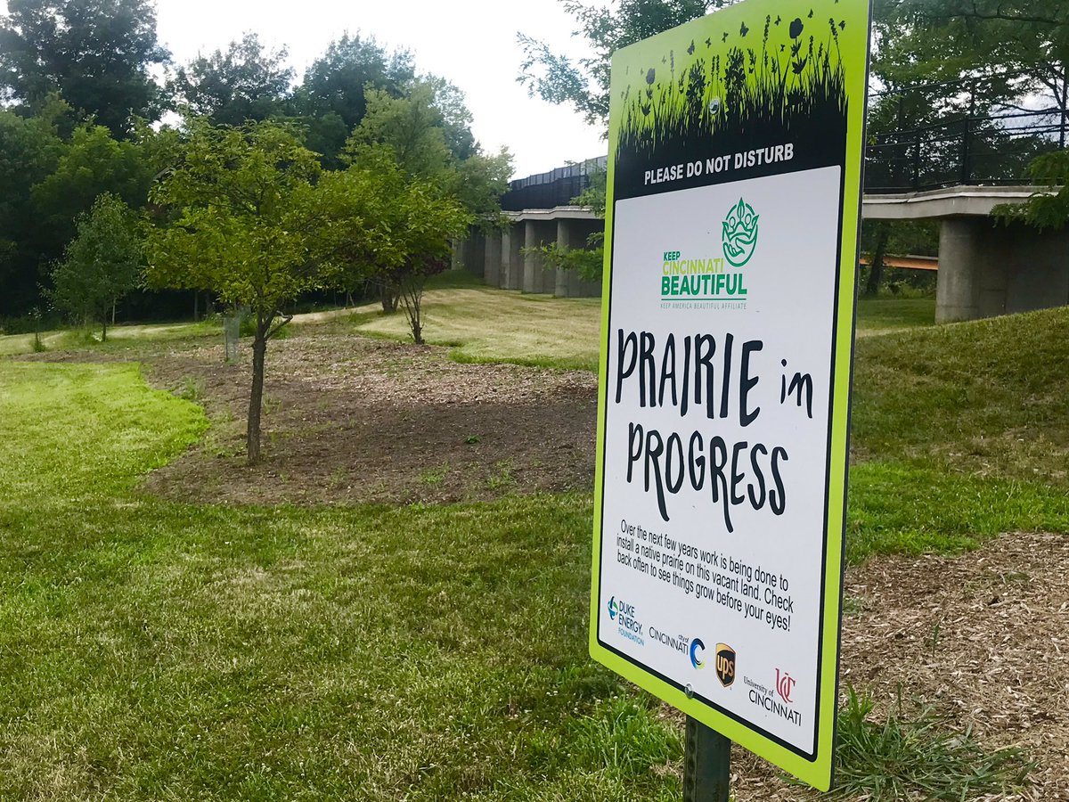 Greg Schneider tweet media