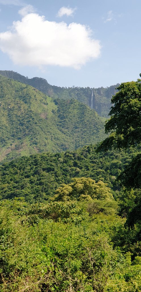 Currently salivating over Torok Falls, which we shall hike to next time.