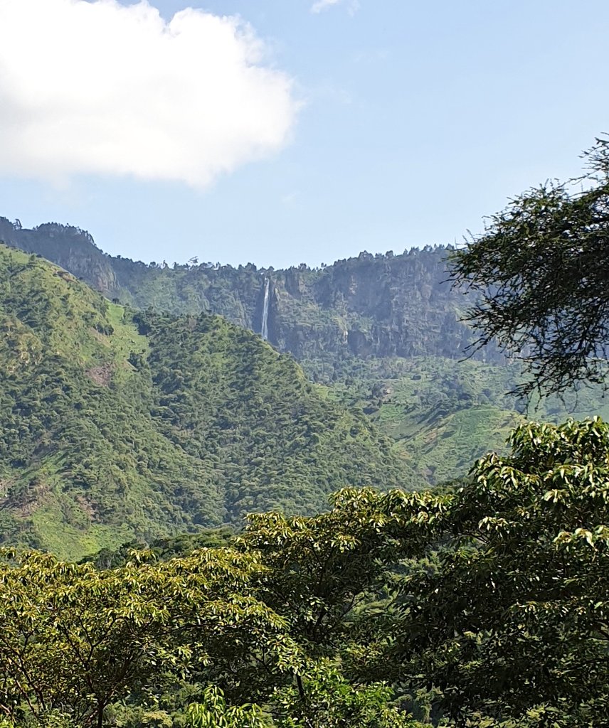 Currently salivating over Torok Falls, which we shall hike to next time.