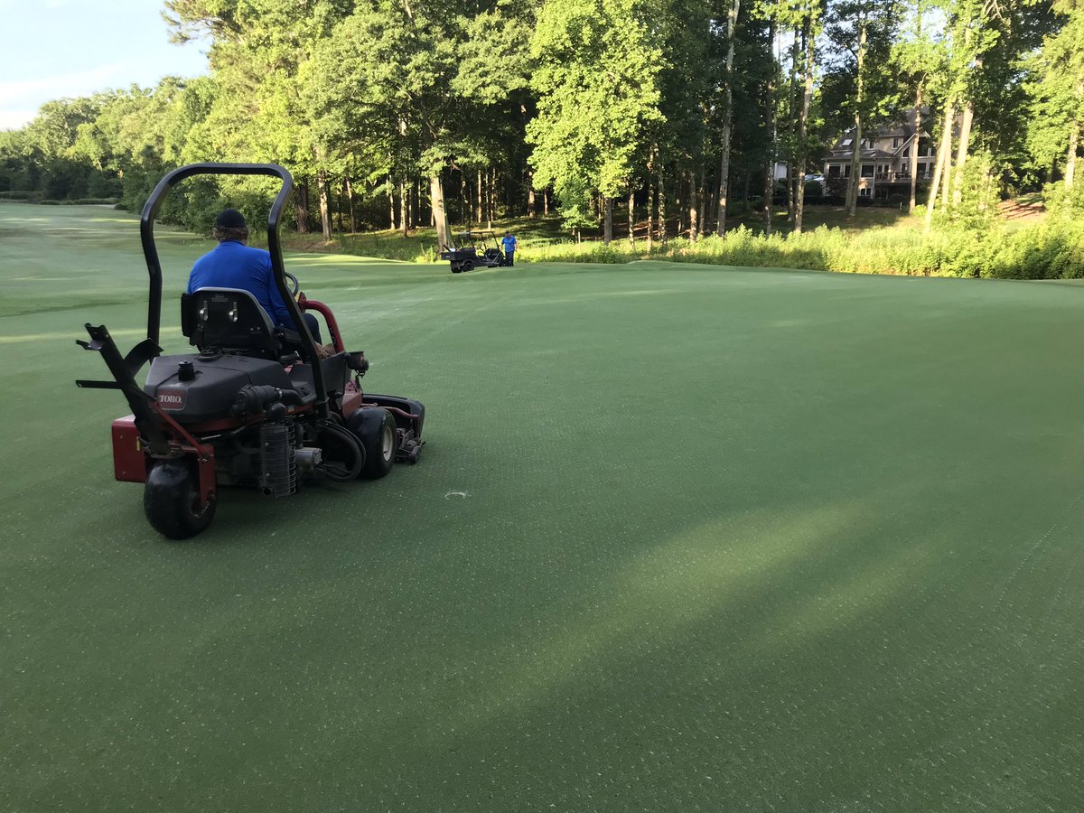 Single cut on greens this morning.   First mow since being aerified this past Monday and Tuesday.