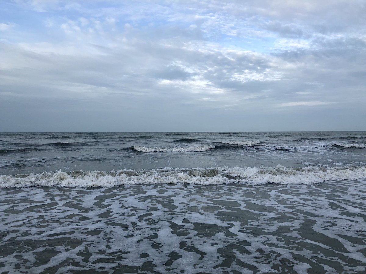 TigerLeadership's tweet photo. Good morning from SWF 🌞🏝🙏🙌👋🇺🇸🎣🐠😎😊🐅
#daveangelo #tigerlifestyle #tigerleadership #winwithdaveangelo #workwithdavidangelo https://t.co/IGIVH54u5t