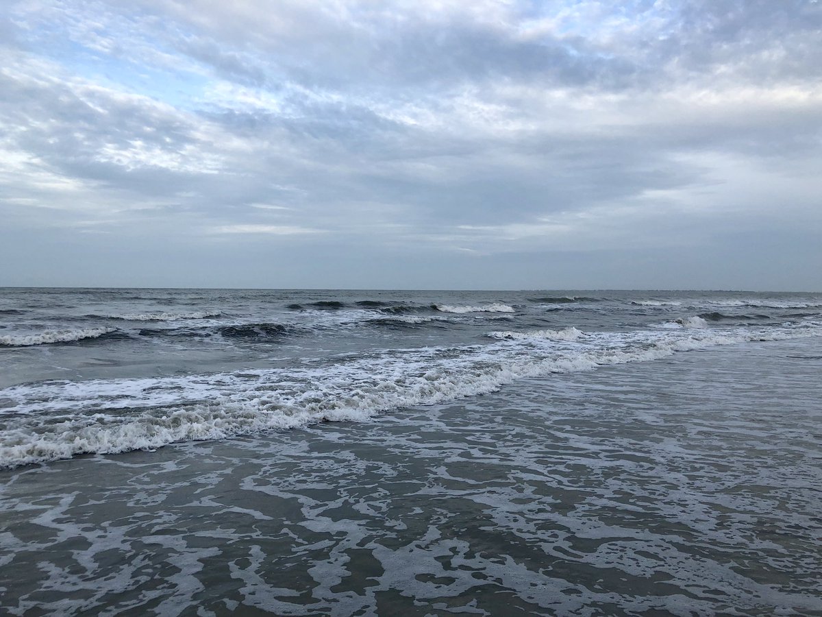 TigerLeadership's tweet photo. Good morning from SWF 🌞🏝🙏🙌👋🇺🇸🎣🐠😎😊🐅
#daveangelo #tigerlifestyle #tigerleadership #winwithdaveangelo #workwithdavidangelo https://t.co/IGIVH54u5t